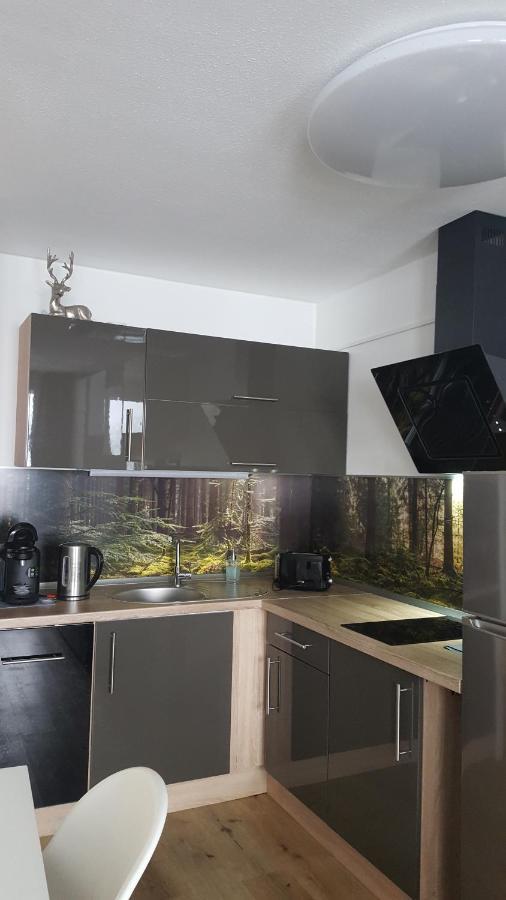Ferienwohnung Mit Blick In Den Bayrischen Wald Oberhalb Von Sankt Engelmar Sankt Englmar Zewnętrze zdjęcie