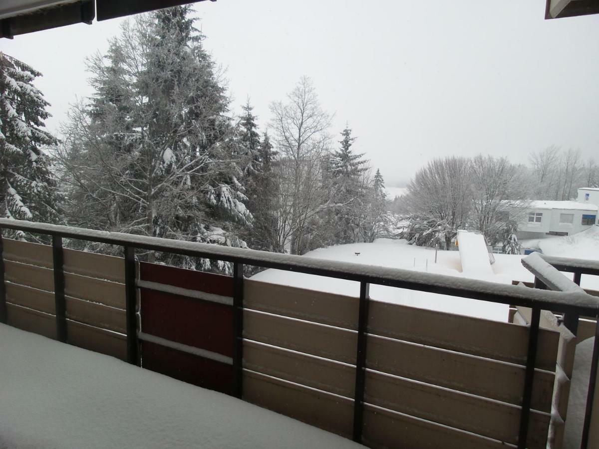 Ferienwohnung Mit Blick In Den Bayrischen Wald Oberhalb Von Sankt Engelmar Sankt Englmar Zewnętrze zdjęcie