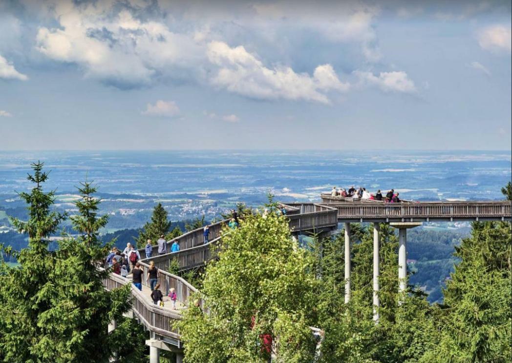 Ferienwohnung Mit Blick In Den Bayrischen Wald Oberhalb Von Sankt Engelmar Sankt Englmar Zewnętrze zdjęcie